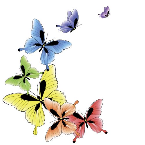 Beautiful butterflies design vectors graphics 02 butterflies beautiful   