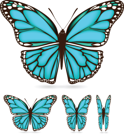 Different color butterfly sample vector 03 different color butterfly   