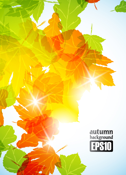 Autumn theme backgrounds art vector 01 theme autumn   