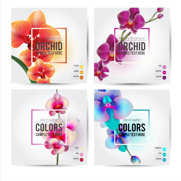 Beautiful flower brochure cover vector flower brochure beautiful   