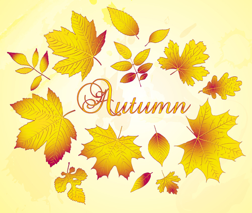 Golden autumn leaves vector background material golden background autumn leaves   