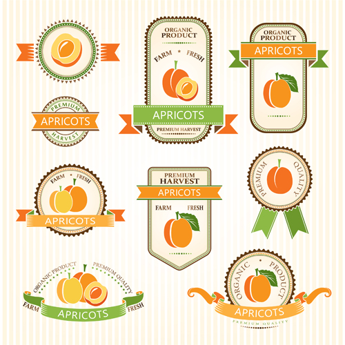 Delicate fruits labels vector material set 06 labels fruits delicate   