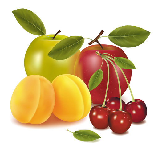 Shiny fruits creative vector graphics 01 vector graphic shiny fruits fruit creative   