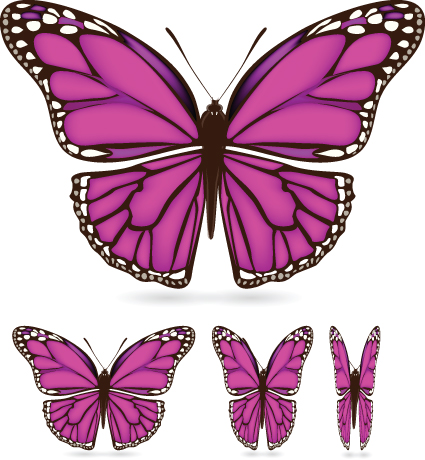 Different color butterfly sample vector 02 different color butterfly   