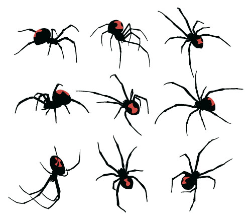 Realistic spider vector material 01 spider   