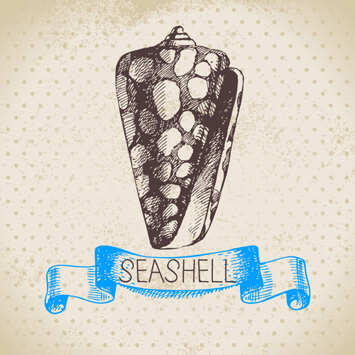 Set of seashell hand drawn vectors material 03 seashell hand drawn   