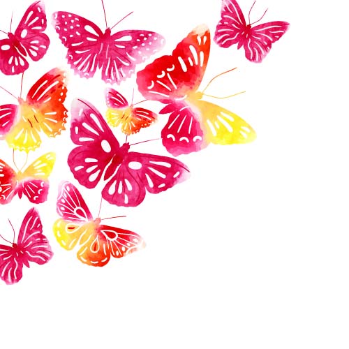 Beautiful butterflies design vectors graphics 01 butterflies beautiful   