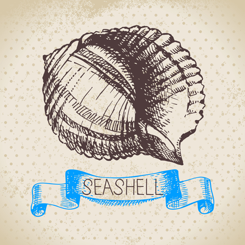 Set of seashell hand drawn vectors material 02 seashell hand drawn   