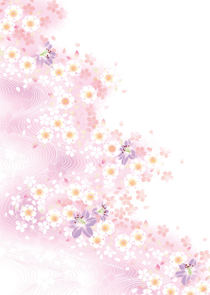 White flower and pink background white pink flower background   