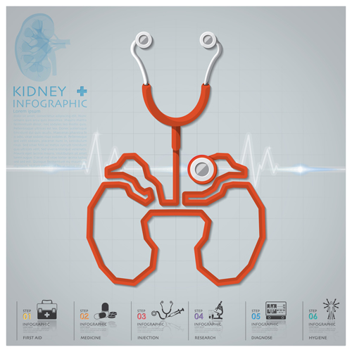 Health and Medical infographic with Stethoscope vector 05 stethoscope medical infographic health   