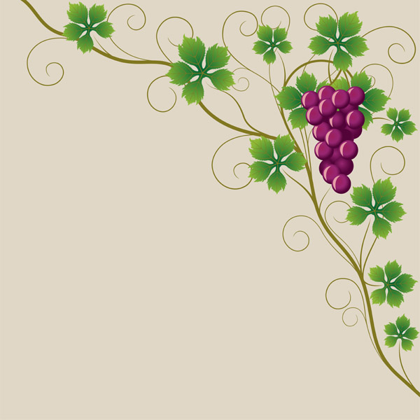 Vector Juicy grapes design graphic set 06 juicy grapes   