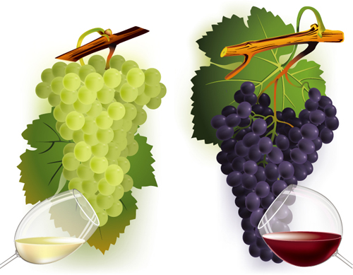 Vector Juicy grapes design graphic set 04 juicy grapes   