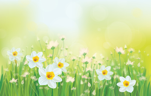 White flowers spring beautiful background vector white flowers spring flowers beautiful background   