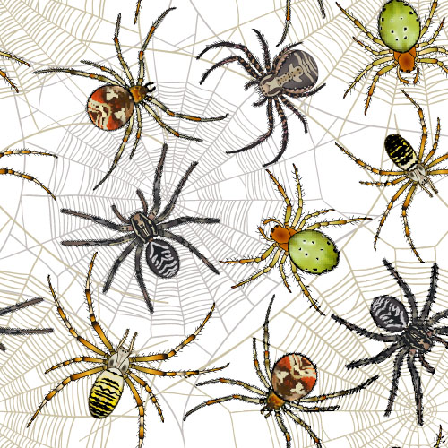 Vector spider seamless pattern design 03 spider seamless pattern design   