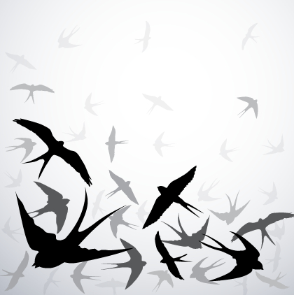 Swallow silhouette with gray background vector swallow silhouette gray background vector background   