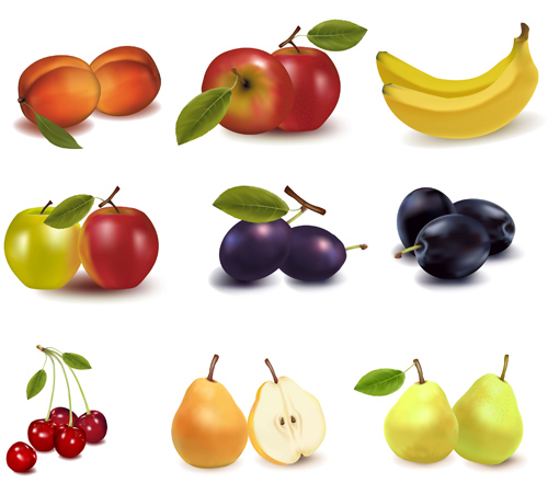 Realistic fruits icons vector material 04 vector material realistic icons icon fruits fruit   