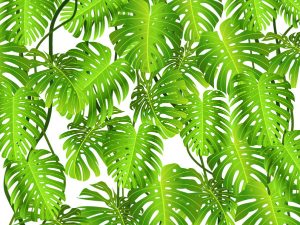 tropical Green leaf elements vector background 03 tropical Green Leaf green elements element   