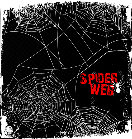 Set of Spider web vector background 05 spider web spider   