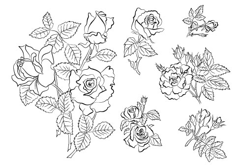 Hand draw Flower vector 03 vector graphics Raster to Vector graphics GIMP design CorelDRAW CAD and CAM business   