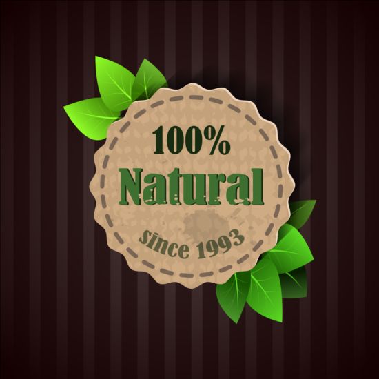 Eco nature label with gree leaves vector 06 nature leaves label gree eco   