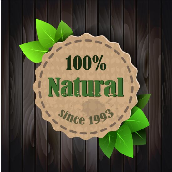 Eco nature label with gree leaves vector 02 nature leaves label gree eco   