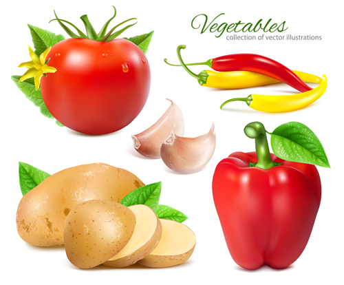 Potato slices with tomatoes and peppers garlic vector tomatoes slices potato peppers garlic   