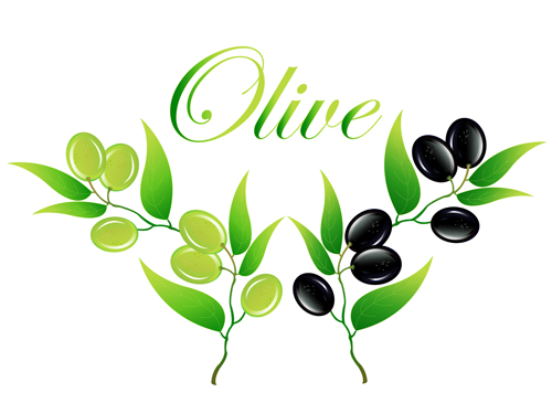 Vector olive art background set 09 olive background   