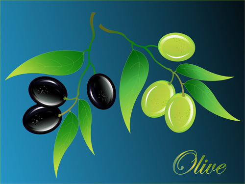 Vector olive art background set 05 olive background   