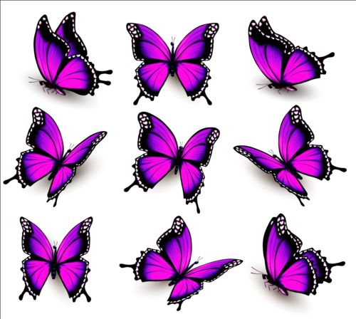 Colorful butterflies illustration vector collection 05 illustration colorful collection butterflies   