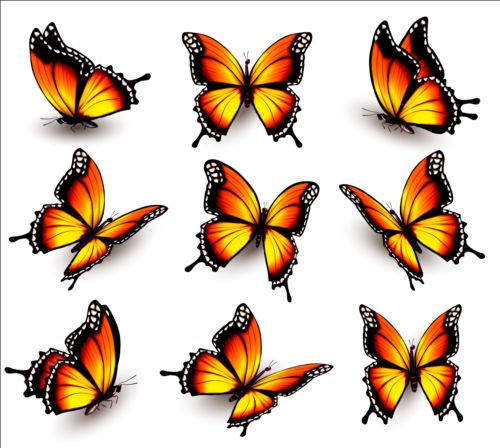 Colorful butterflies illustration vector collection 04 illustration colorful collection butterflies   