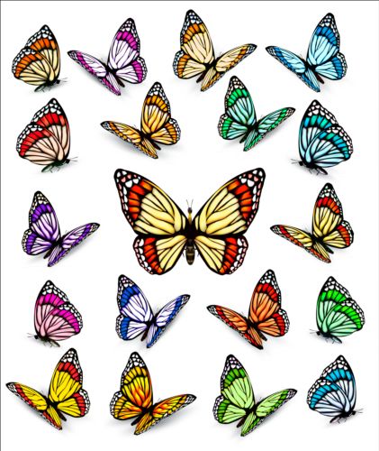 Colorful butterflies illustration vector collection 03 illustration colorful collection butterflies   