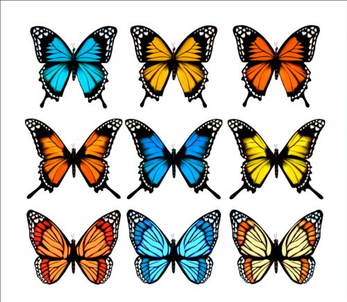 Colorful butterflies illustration vector collection 02 illustration colorful collection butterflies   
