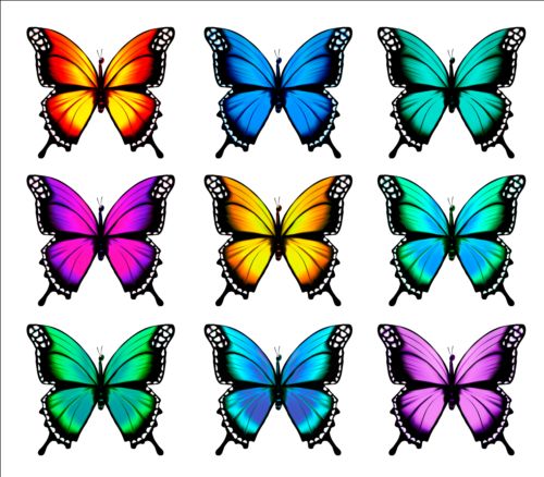 Colorful butterflies illustration vector collection 11 illustration colorful collection butterflies   