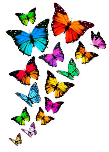 Colorful butterflies illustration vector collection 09 illustration colorful collection butterflies   