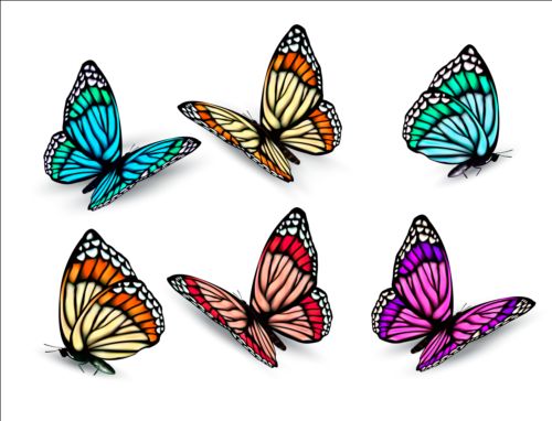 Colorful butterflies illustration vector collection 08 illustration colorful collection butterflies   