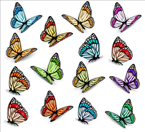 Colorful butterflies illustration vector collection 07 illustration colorful collection butterflies   
