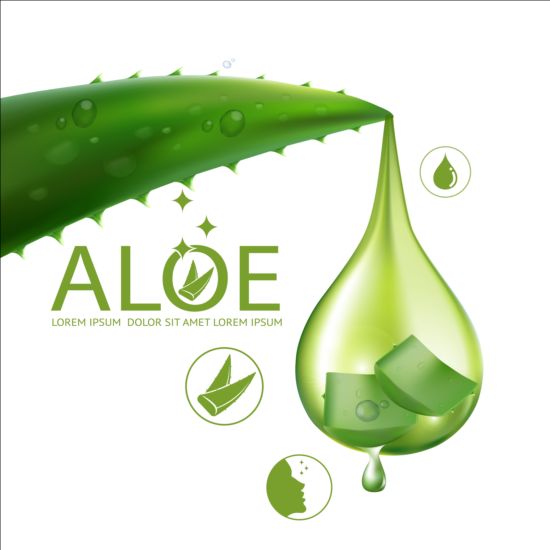 Aloe vera collagen background vector 03 vera collagen background Aloe   