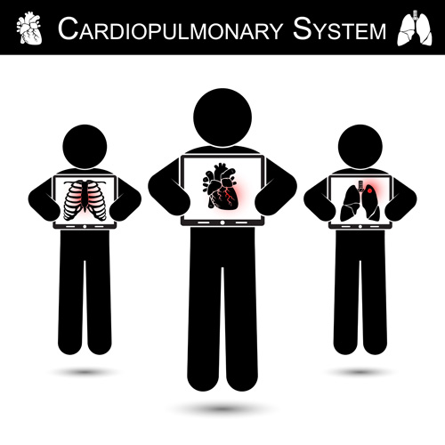 Cardiopulmonary system vector system Cardiopulmonary   