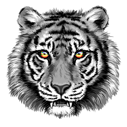 Gray tiger head vector tiger head gray   