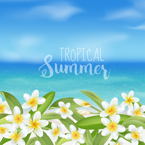 Plumeria with sea summer background vector summer sea plumeria background   