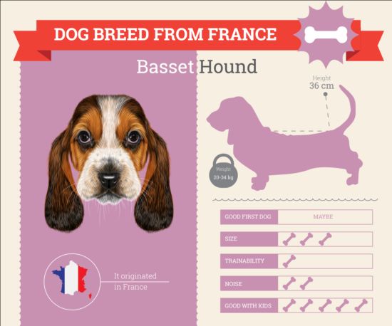 Dog breed business template vector 15 dog business breed   