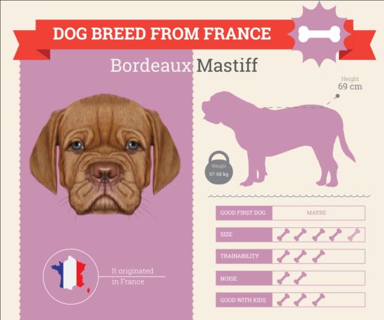 Dog breed business template vector 14 dog business breed   