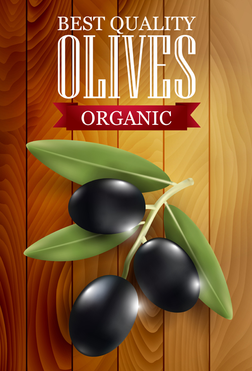 Organic olives with wooden background vector 02 wooden organic olives background   