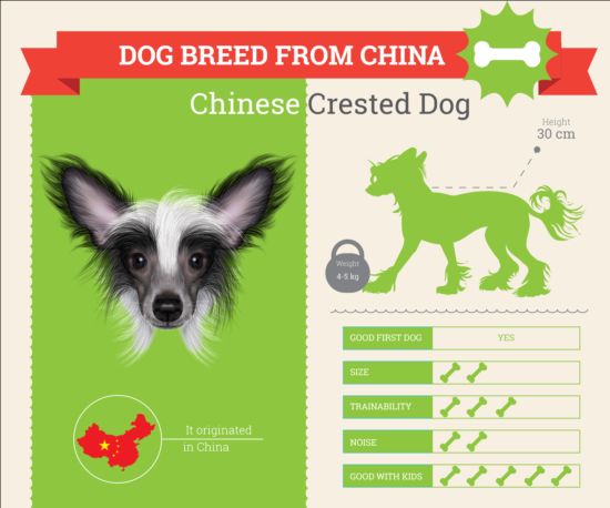 Dog breed business template vector 04 dog business breed   