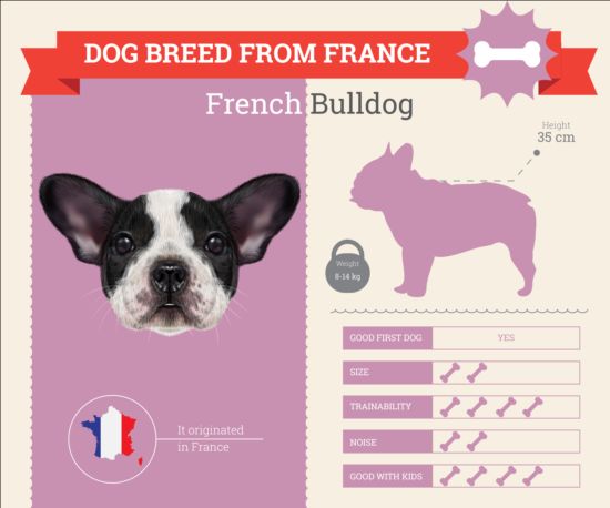 Dog breed business template vector 13 dog business breed   