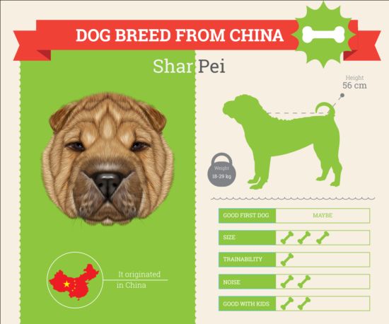 Dog breed business template vector 03 dog business breed   