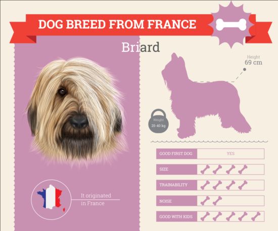 Dog breed business template vector 12 dog business breed   