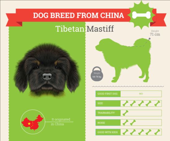 Dog breed business template vector 01 dog business breed   
