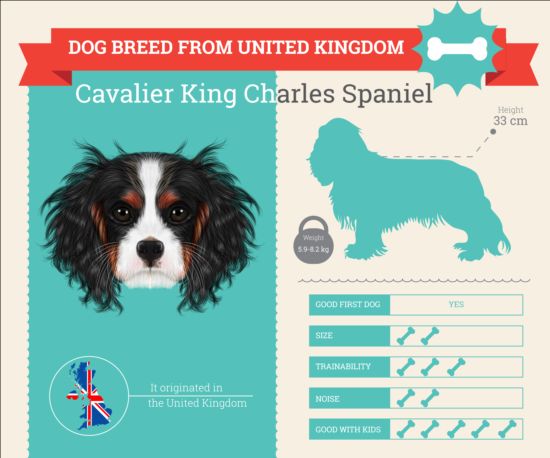 Dog breed business template vector 10 dog business breed   