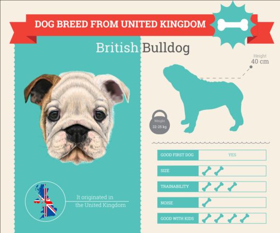 Dog breed business template vector 09 dog business breed   
